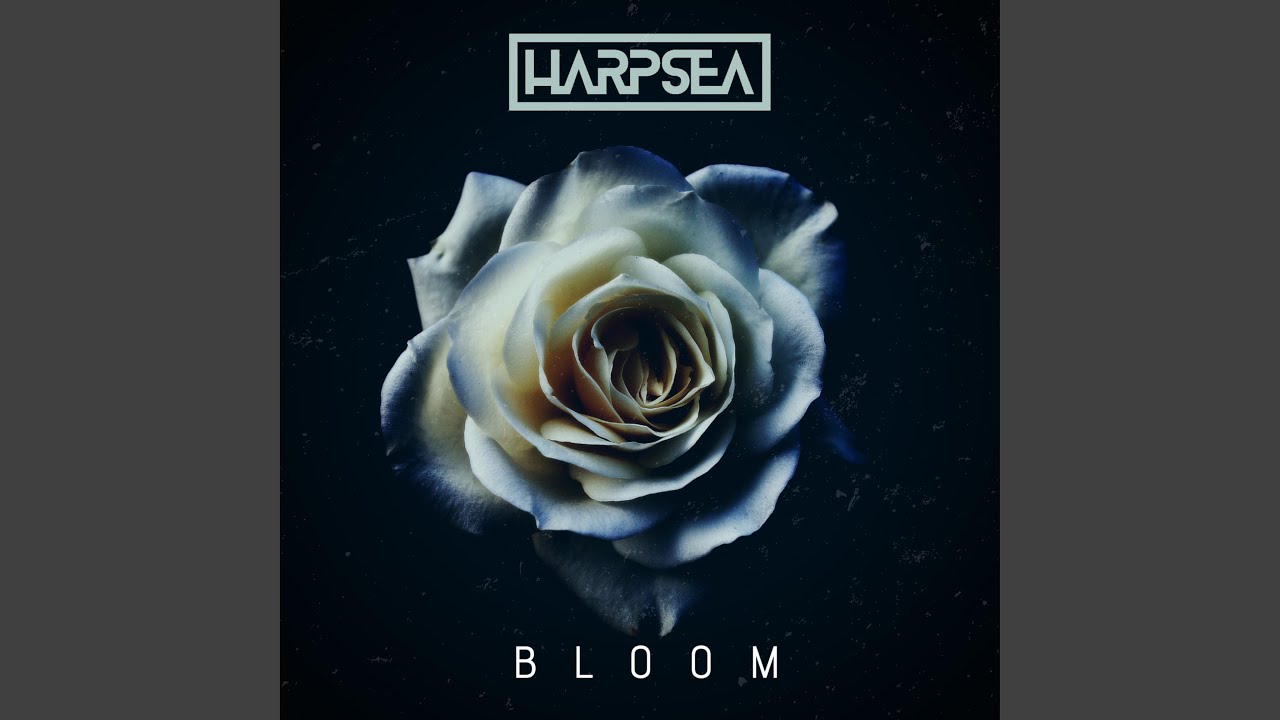 Watch Bloom on YouTube Watch Bloom on YouTube