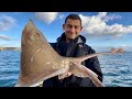 Winter Sea Fishing - Fantastic Fishing on Lures and at Anchor - Awesome Underwater Footage