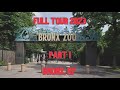 Bronx zoo full tour 2023  part 1