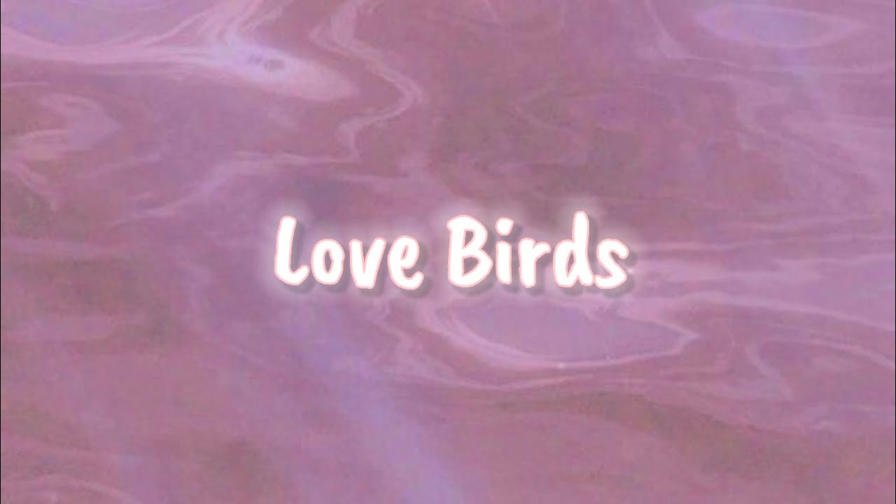 Wimp Love Birds (lyrics) YouTube