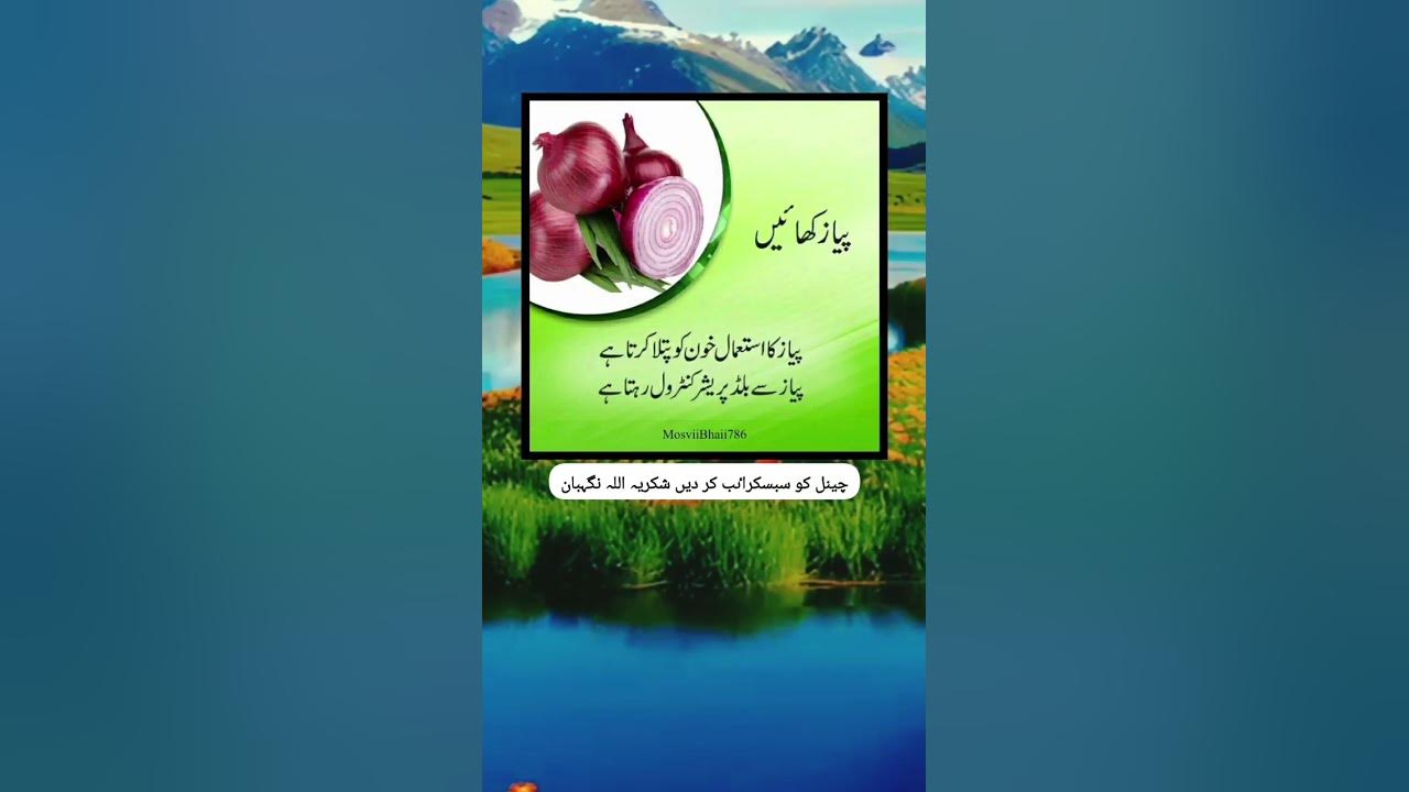Urdu Words For Poetry Urdu Poetry Islamic Quotes Islamic Status urdu-words-for-poetry-urdu-poetry-islamic-quotes-islamic-status