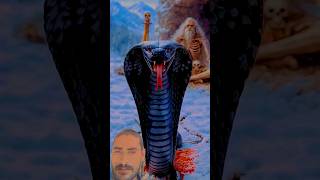 #harharmahadev #vairlshort #trending #story #video #recipe
