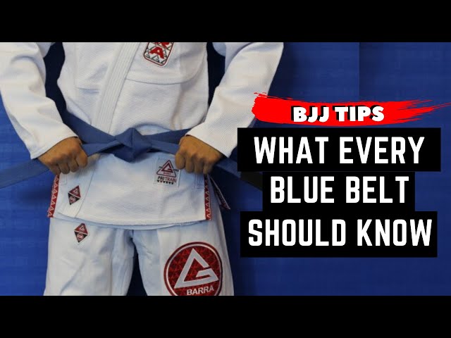 What to expect from a BLUE BELT?