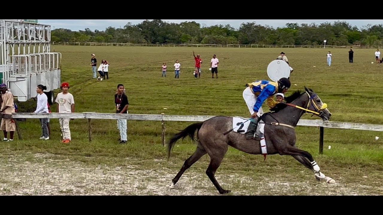 Horse Race Castleton Race Track B Class 6  Furlongs  January 4, 2026