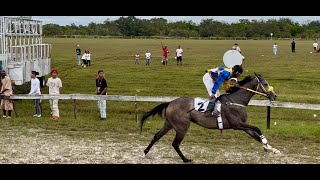 Horse Race Castleton Race Track B Class 6  Furlongs  January 4, 2026