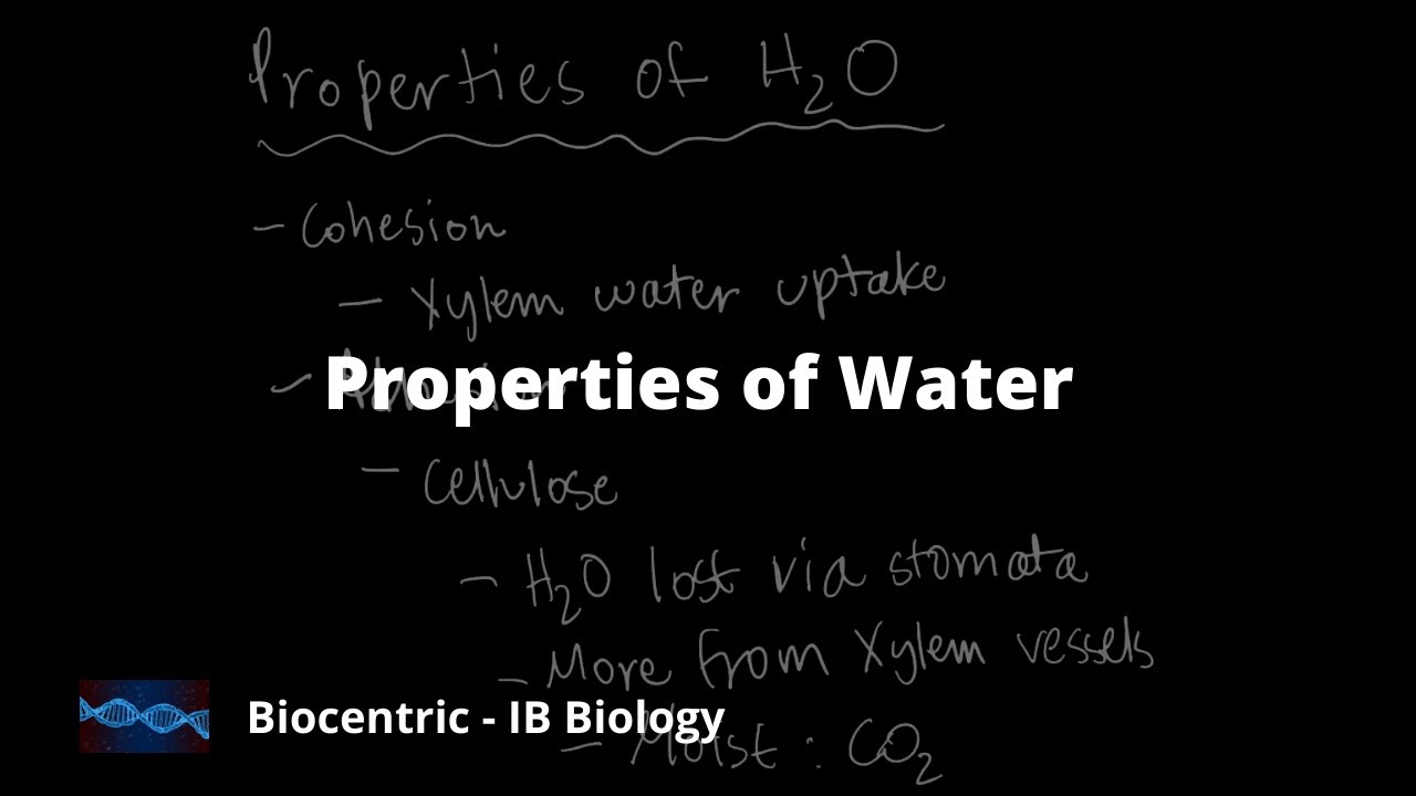 ap bio frq properties of water