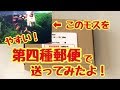 水草(モス)を送ってみたよ！【第四種郵便】