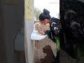 Aaj Bahut Kuch Seekhne Mila ❤️ | Daily Mini Vlog