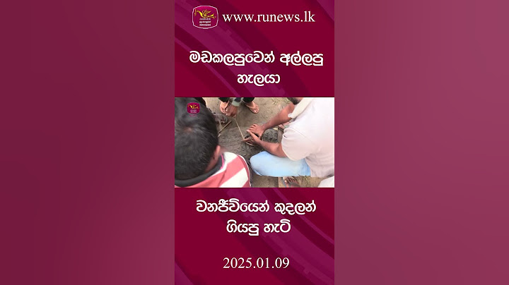 මඩකලපුවෙන් අල්ලපු හැලයා වනජීවියෙන් කුදලන් ගියපු හැටි | Rupavahini News #rupavahininews #slrc #news