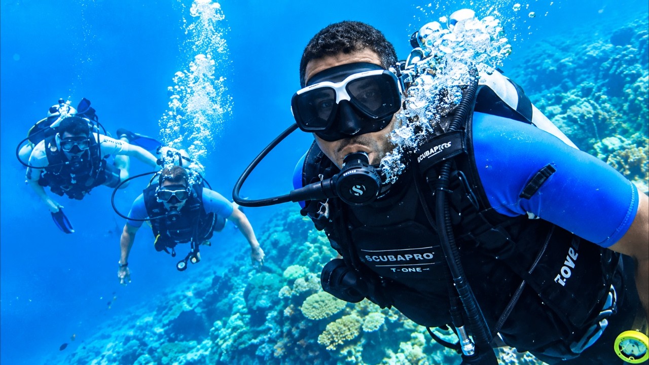 Hadahaa Maldives Is Unreal! Scuba Diving in Paradise | 4K