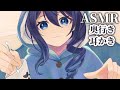 【ASMR/3dio】奥行き耳かき！新感覚マッサージ！囁く【vtuber/双葉梓】