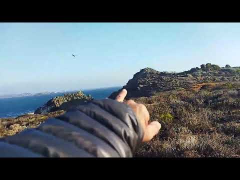 Buscando LA CUEVA DE LA QUINTRALA en PUNTA QUELÉN (PICHIDANGUI/CHILE), Junio 7/2026.