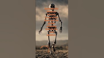 Appendicular Skeleton?! #educate #education #learn #learning #shortsfeed #shortsvideo #facts #life