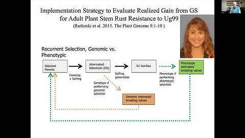 Mark Sorrells - 21st Century Plant Breeding: Molecular Breeding and High Throughput Phenotyping