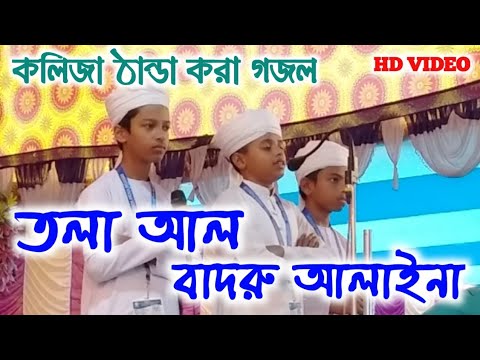 তলা-আল-বাদরু-আলাইনা┇তিন-শিশুর-কণ্ঠে-কলিজা-ঠান্ডা-করা-গজল┇islamic-bangla-gojol-tala-al-badru.