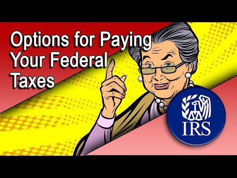 Видео: Та TIN татварын өртэй юу? Холбооны татварын албаны төлбөр төлөгчдөд тохиромжтой үйлчилгээ байдаг