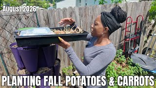 Planting Fall Potatoes & Carrots | Fall Seeding And Homestead Updates | I Am Her Flock