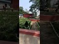 Creative Bolding In Hobigonj Bangladesh...short video..#shorts