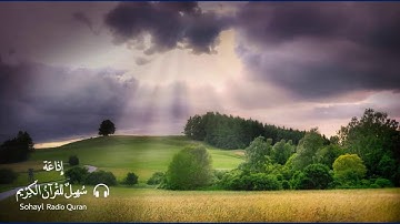 تلاوة خاشعة مباركة سورة يـس كاملة  للقارئ | مشاري راشد العفاسي