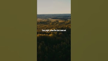 Thumbnail of Fitz and The Tantrums - HandClap  | Lyrics