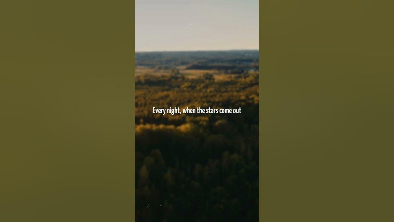 Fitz and The Tantrums - HandClap  | Lyrics