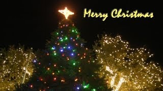 Hey Friends, Merry Christmas & Happy Holidays!!!
Christmas lights display at Pedernales Electric Company (PEC) in Johnson City, TX! Happy holidays and thanks for a great Dead Explorer 2012!
DEAD EXPLORER:
Real Ghost Hunters with True Paranormal Videos from the Most Haunted Places! Unexplained activity, scary experiences, & ghost stories caught on tape! New episodes Mondays - Subscribe Now!
MORE DEAD EXPLORER:
Subscribe!
http://goo.gl/wY6b6
Facebook!
http://facebook.com/deadexplorer
Twitter!
http://twitter.com/tweetalejandro
Google+
http://goo.gl/Rm661
Blog
http://deadexplorer.com Hey Friends, Merry Christmas & Happy Holidays!!!