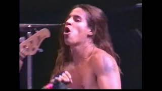 Red Hot Chili Peppers - Suck My Kiss (Lollapalooza Festival 1992)