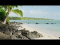 Pacific Resort Aitutaki Highlights