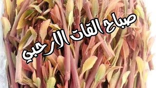 بكر من صباح الباري ملك ألأرحبي قات روووووعة