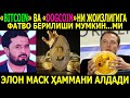 ЭЛОН МАСК ҲАММАНИ "АЛДАДИ"... АБРОР МУХТОР АЛИЙ. БИТКОИН ДОГКОИН