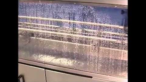 Automatic Bottle Rinsing Machine