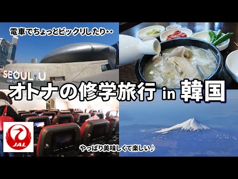 【オトナの修学旅行inソウル1】JALに乗って韓国へ  / 電車でビックリ！ / やっぱり美容に良い料理♪ Seoul Korea Vlog1 / March Travel まーちトラベルの旅動画