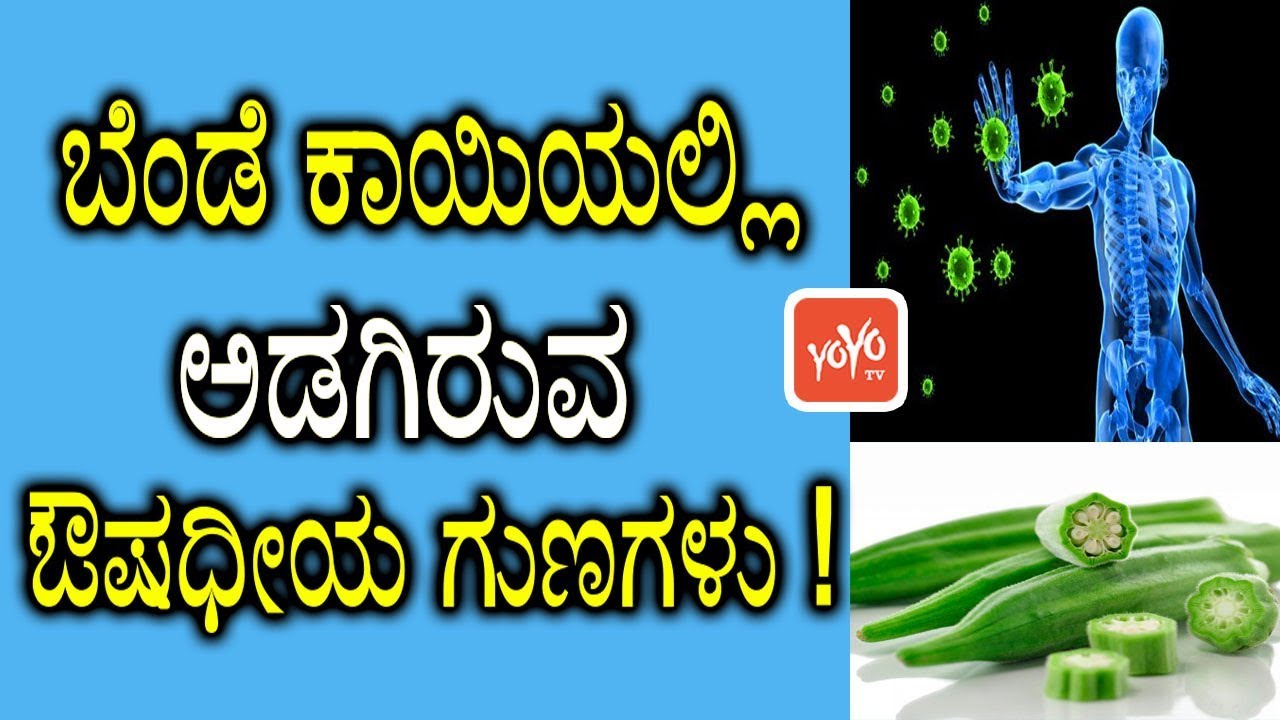 ಬೆಂಡೆ ಕಾಯಿಯಲ್ಲಿ ಅಡಗಿರುವ ಔಷಧೀಯ ಗುಣಗಳು ! | Benefits Of Ladies Finger In Kannada | YOYO TV Kannada
