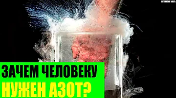 Зачем человеку так нужен азот?