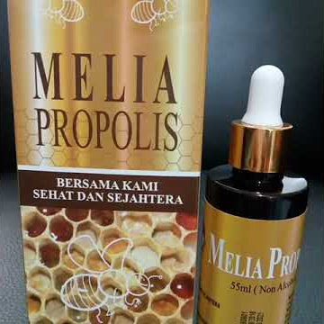 Melia propolis obat untuk semua penyakit