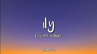 David Kushner - ily (Lyrics) Resimi
