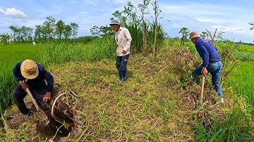 Chú cắt cỏ rất vui vì đã bắt được cặp rắn dọa Chú cả tuần qua | TGSB #650