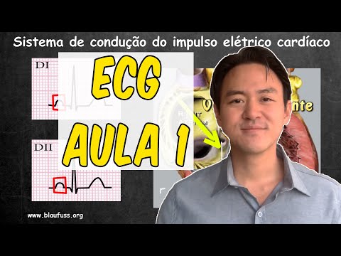 ECG aula 1