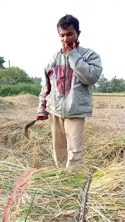 kata kata petani Gunungkidul