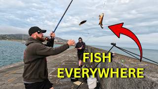 Can We Catch Enough To Win The Fishing Match?!