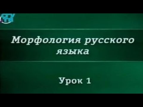 Урок 1. Морфология: основные понятия. Структурно-семантические типы слов