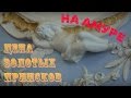 Экскурсия | САНКТ-ПЕТЕРБУРГ | Кузнечный пер. | улицы | парадные | тизер 5 | МОЙ МАРШРУТ | ЛЕНТА ЛАЙФ