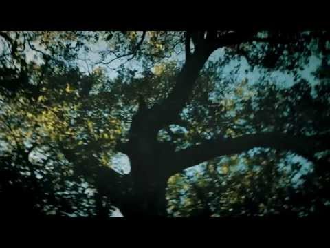 在 YouTube 上观看 Vincent Vallières - Loin (Vidéoclip officiel) 在 YouTube 上观看 Vincent Vallières - Loin (Vidéoclip officiel)