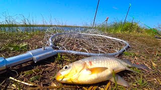 видео: Карась клюёт на ВСЁ!!! Рыбалка на донки в Донской речке Сын таскает карасей Рыбалка на новом месте картинка: Карась клюёт на ВСЁ!!! Рыбалка на донки в Донской речке Сын таскает карасей Рыбалка на новом месте