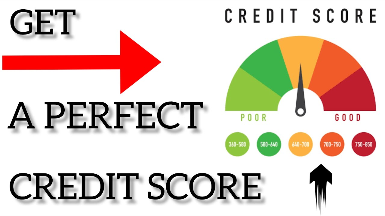 How To Get A PERFECT Credit Score For FREE in 2020 - Wesley Billion Dollar Virgin