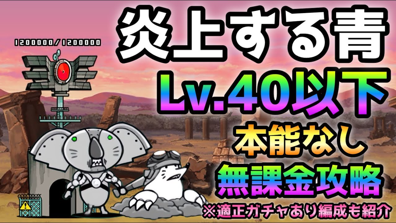 闇の森 繁殖苗 一番大きい苗1本 ネコポス 闇の森 繁殖苗 一番大きい苗1