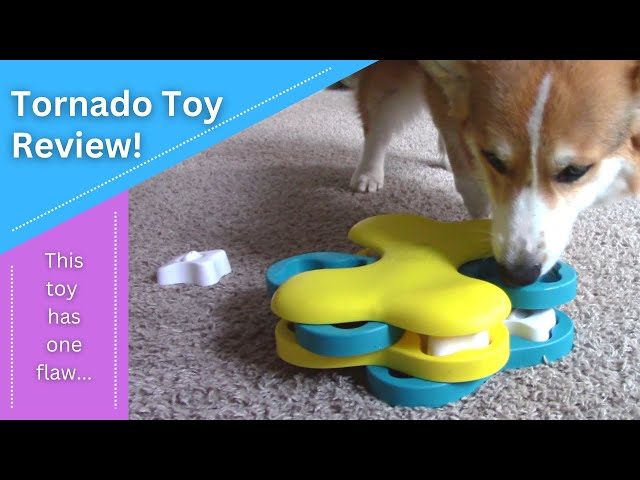 Nina Ottosson Dog Tornado Interactive Dog Toy – Dr. Judy Morgan's Naturally  Healthy Pets