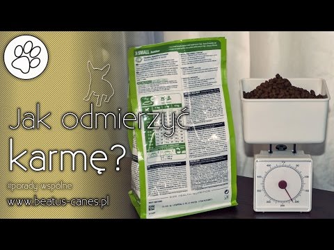 Wideo: Jak Odmierzyć Suchą Karmę W Gramach