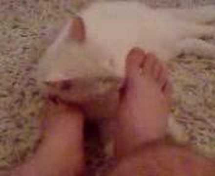 remarkable, teen fuck facials mine the