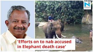 One arrested in Kerala elephant death case: Kerala forest minister